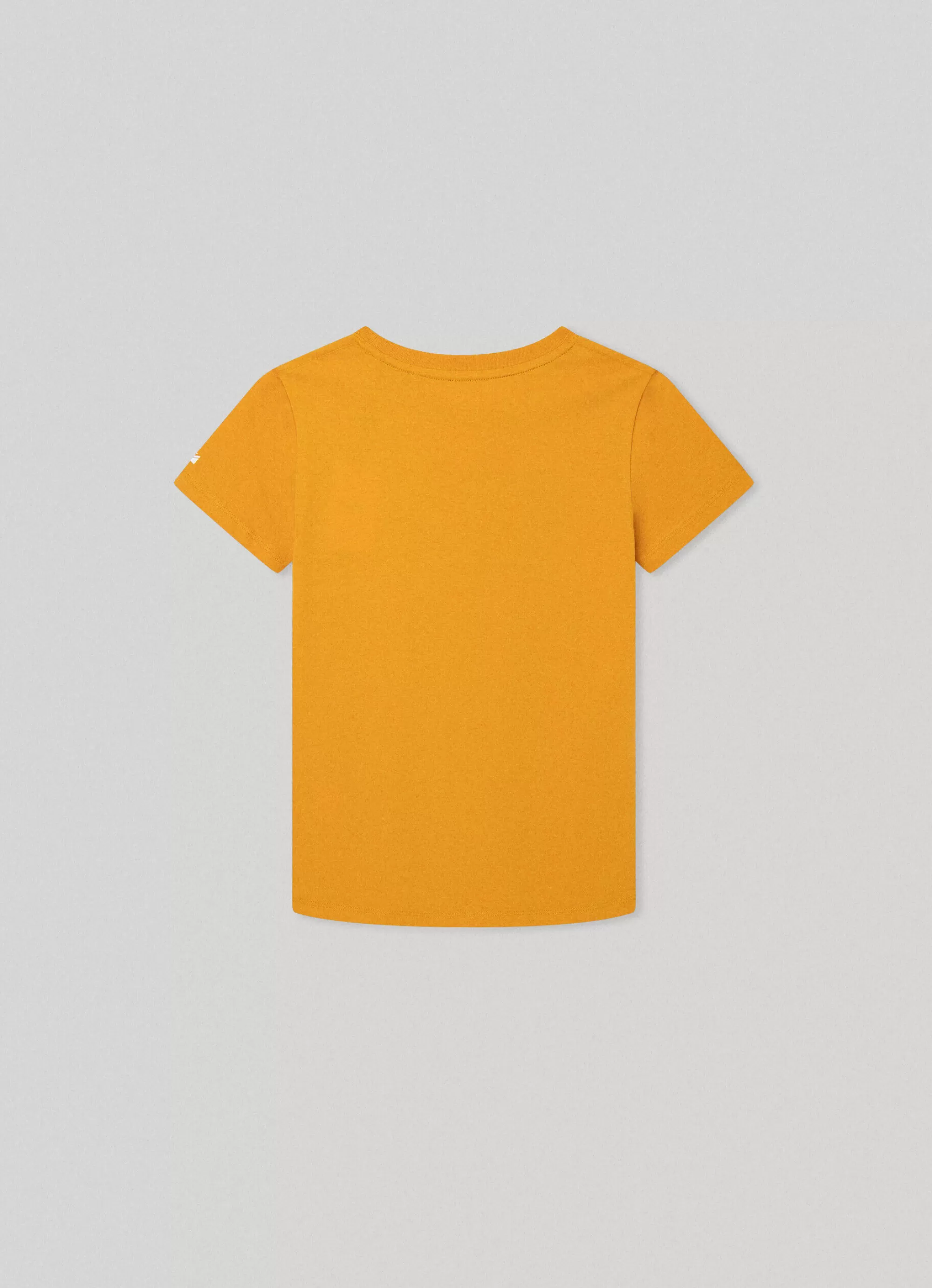 Rapaz Pepe Jeans T-Shirts>T-Shirt Logo Estampado